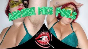 Admires mes poils