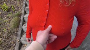 Red Tits Beside the Train Station