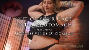 *Out Of Your Cage, Into My Stomach! - Featuring Goddess Venus O' Rickmon - SD*