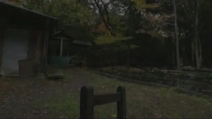 Japanese Lesbian Exposed 2