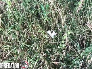 Masturbation in the forest at day with a tiny abandoned and used gift