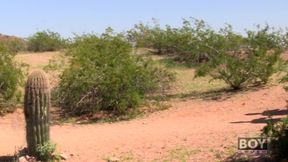 Sexy Boys Butt Fucking!