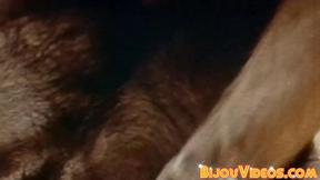 ”Retro gay porn horny muscle men huge dick sucking sixtynine”