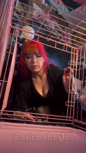 Bullying you in my pretty pink pet cage🎀✨