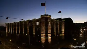 Service Sessions: Frolicking