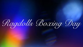 Ragdolls Boxing Day, Nyxon V Velvets