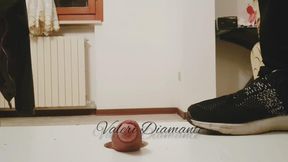 Distrutto