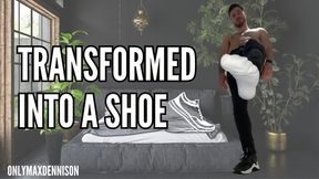 transformed into gay guys shoe