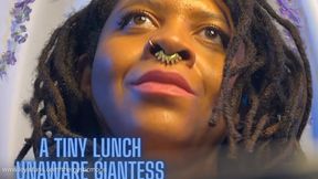 Tiny Lunch Unaware Giantess