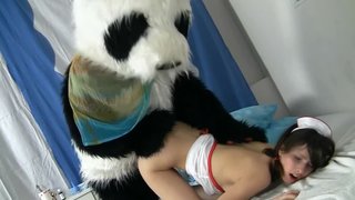 Cute fuzzy panda and a teen nurse have crazy sex