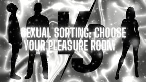 Sexual Sorting: Choose Your Pleasure Room