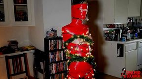 Mummified Rogue Will Make a Perfect Tree! (WMV Format)