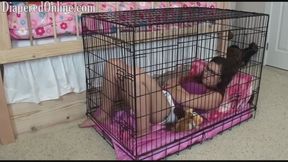 Red: Castor Oil & Cage