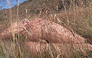Anikka albrite, heavy meadow music