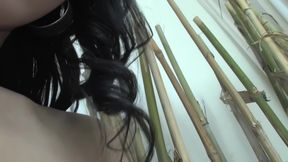 A Ladyboy Is Forever