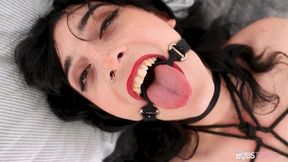 Bobs TGirls featuring Zuzu Flowers's transgender clip