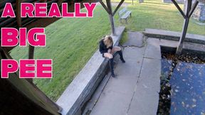 Big pee puddle in public place