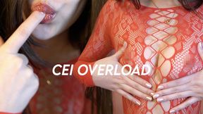 CEI Overload