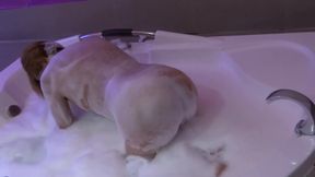 I&#039;m Driven Crazy with Passion by My Stepbrother&#039;s Big Cock, I Enjoy It in the Motel Jacuzzi
