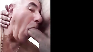 Enormous Wolf Barebacks Silver Parent