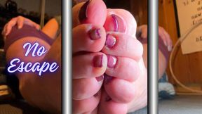 No Escape