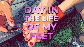 A day in the life of my Feet (HD)