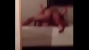 VID-20170609-WA0020