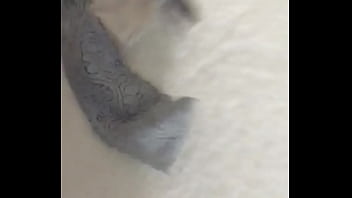 Linda tanga la de mi jefa