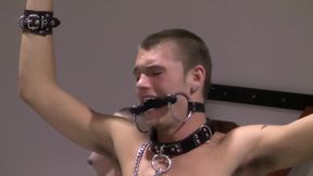 Well-cummed Slaves - Chapter 2