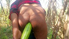 I fucked my ass with a very thick gourd in the forest and the cum came out, I fucked that too.
