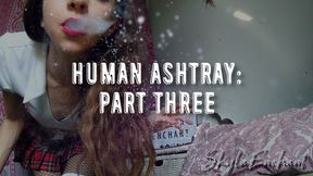 Human Ashtray: Part Three