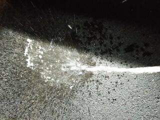 Parking Lot Public Piddle 4