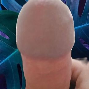 GAY BIG COCK FUCKING JOCKER&#039;S COCK - HOT TRANS