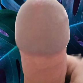 GAY BIG COCK FUCKING JOCKER&#039;S COCK - HOT TRANS