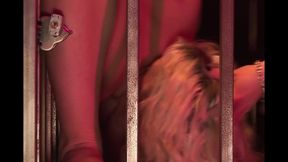 In the Secret Cellar, the Women Get What They Want.