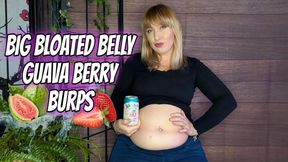 Big Bloated Belly Guava Berry Burps
