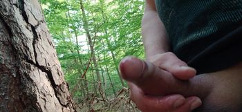 Moaning several times in the forest
