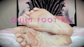 Quiet Foot Pet - 720