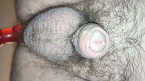 Cute Natural Femboy Rides Big Tree Dildo and Cums Close up Into Camera