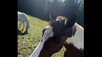 Will these s bring me to the finish line? #FinishLine #Goals #RaceDay #Vibe #InkedModel #TattooJ...