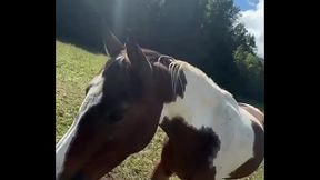 Will these s bring me to the finish line? #FinishLine #Goals #RaceDay #Vibe #InkedModel #TattooJ...