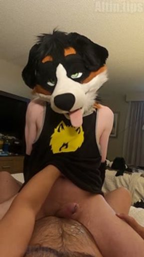 ManedStripes wears AngryBarks
