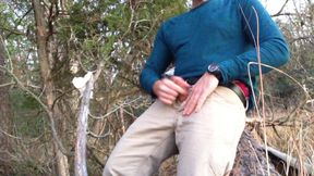 I jerk-off and cum in the woods