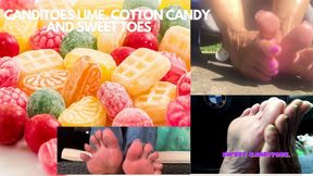 CANDITOES "MIXED CANDITOES" LIME GREEN, PINK COTTON CANDY AND MORE! ASSORTED TOES!