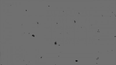 Barely-Legal Teen Sucks Off Her Therapist With Braces!