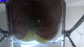 crush - Shattered Seat, Splattered Pepper: A Goddess’s Victory, female domination, ass fetish, goddess worship 1080 smaller