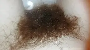 hairy bush