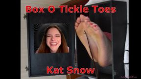 Box O Silly Toes Goddess Kat Snow - POV Foot Tickling With Male Tickling Female Feet MP4