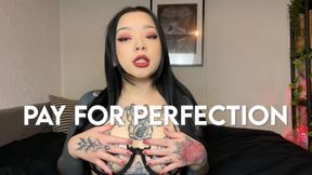 Pay For Perfection - Findom