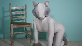 ZENTAI PET MESMERISED